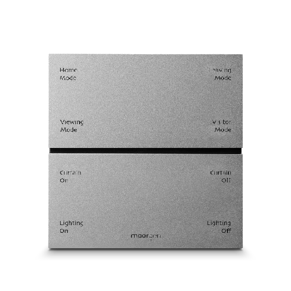 Snowflake silver Swiss panel