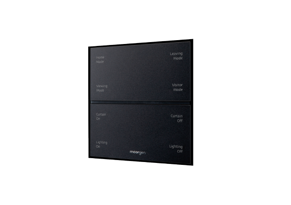 Chi Wing Lo Minimalist series mica black