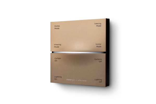 Champagne Gold Supercar series Panel